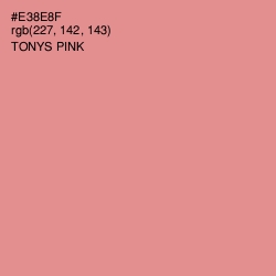 #E38E8F - Tonys Pink Color Image